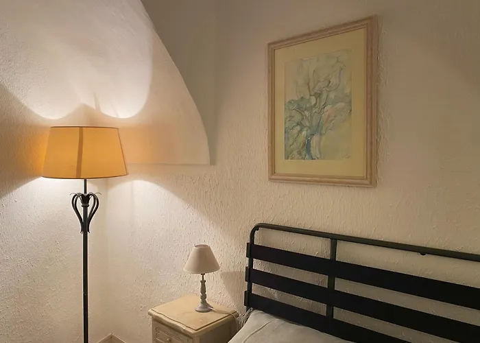 La Casa Degli Alberi