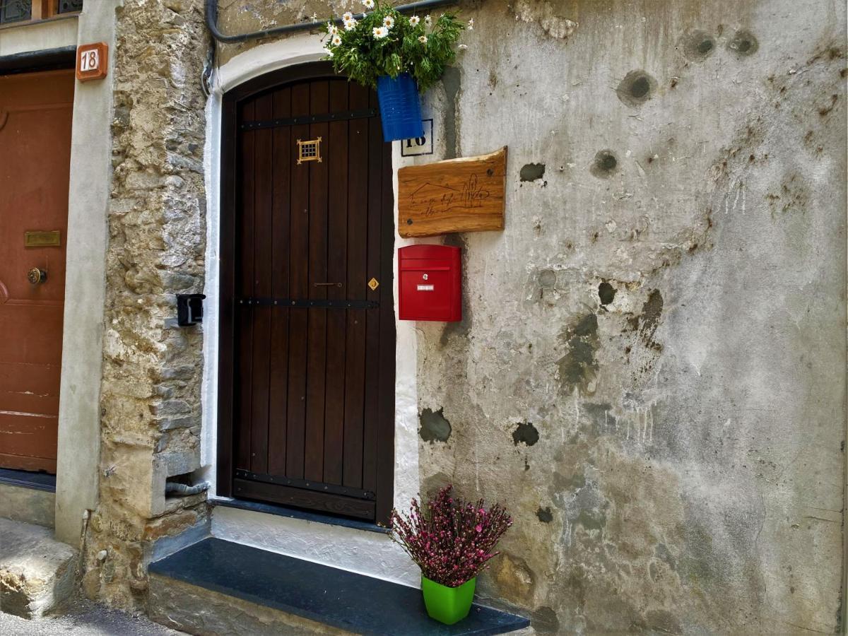 La Casa Degli Alberi *