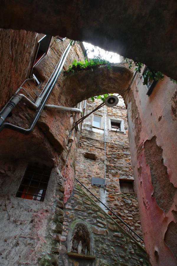 La Casa Degli Alberi *