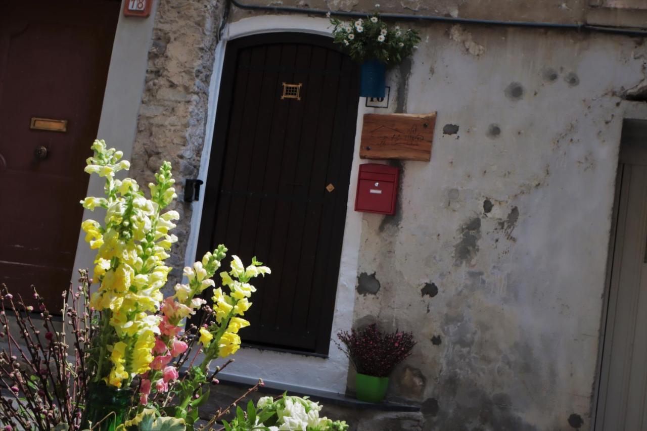 Holiday home La Casa Degli Alberi *